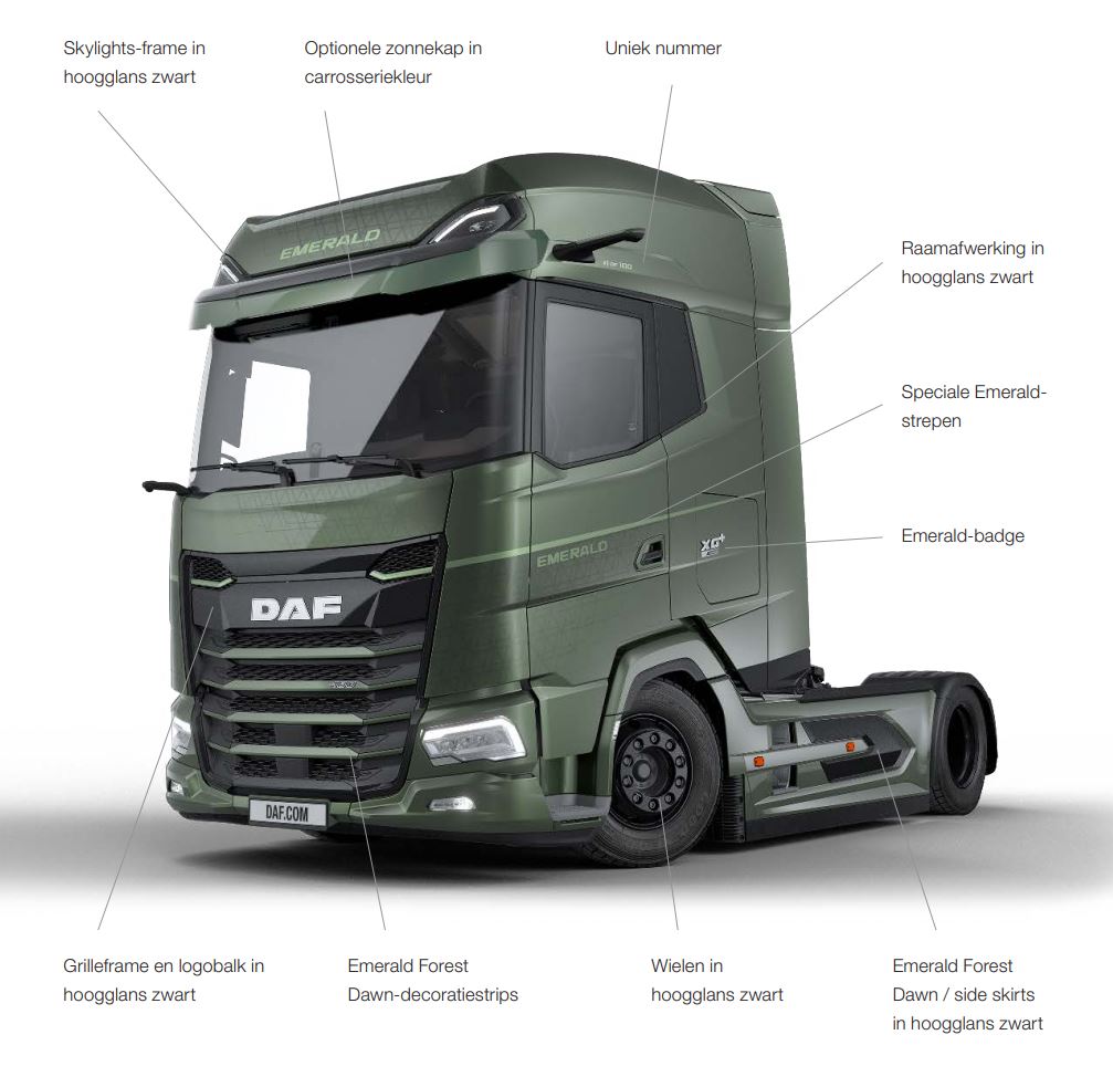 Emerald DAF AERTS - details arrows